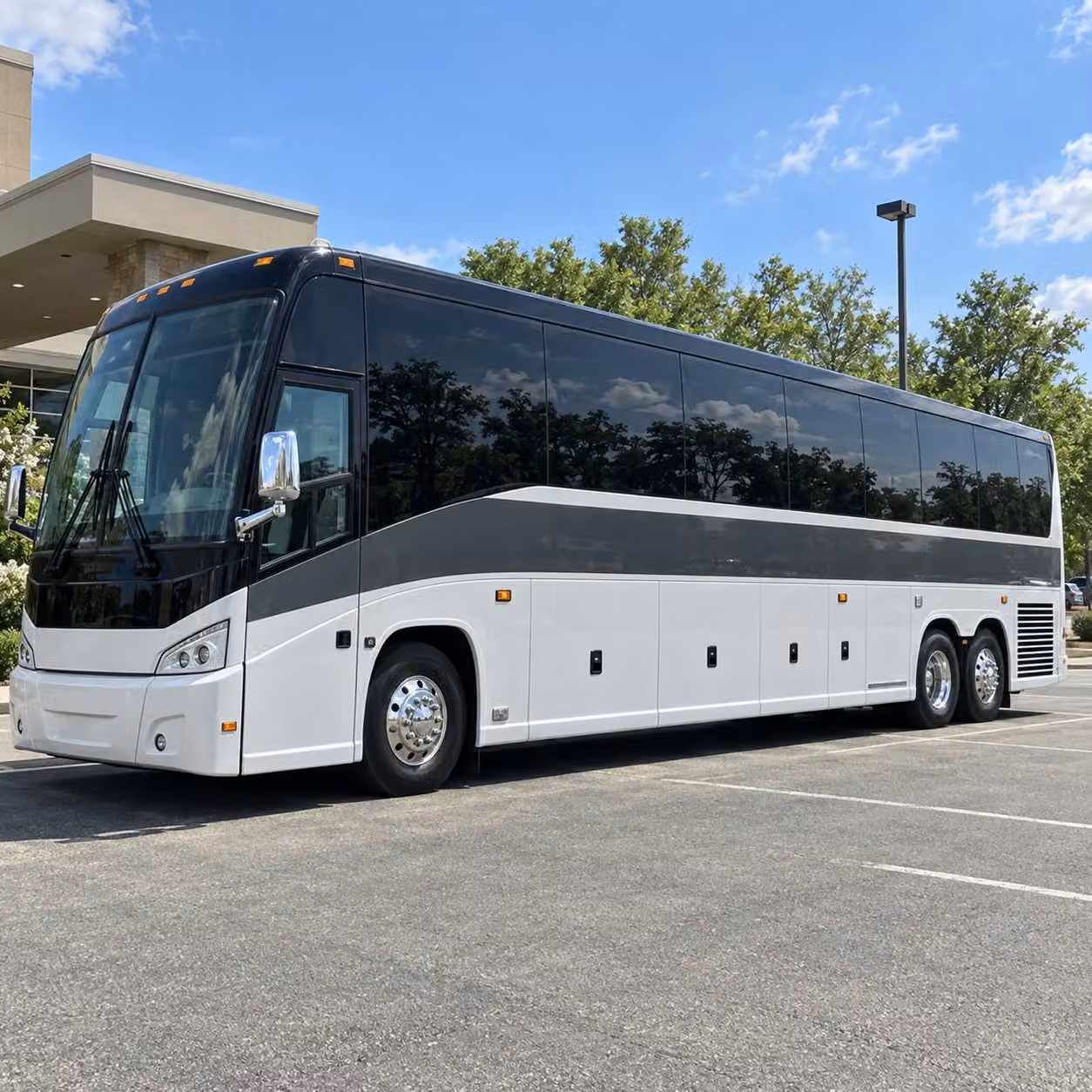 56 passenger charter bus